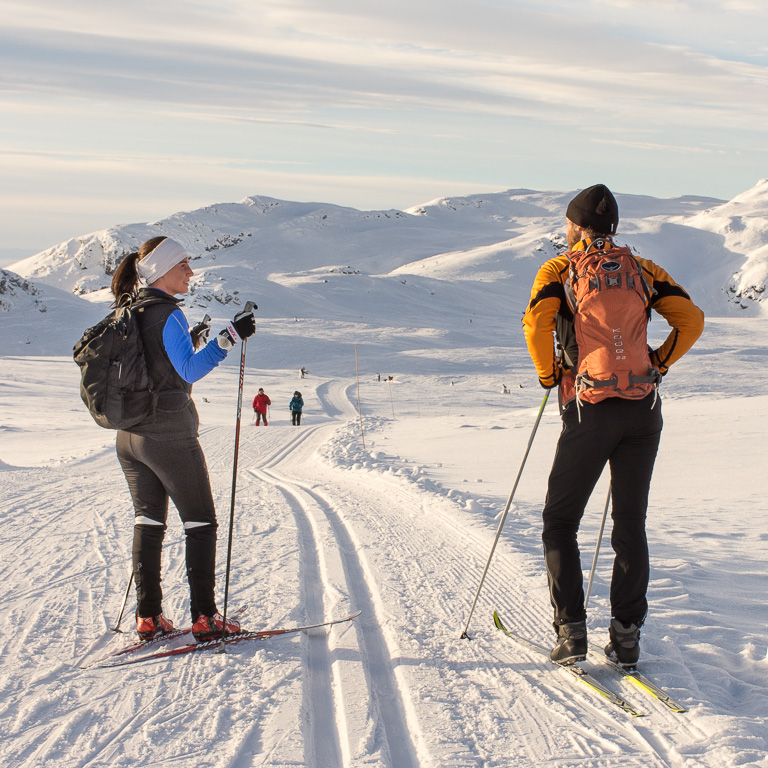 flotte skiløyper i nydelig fjellterreng