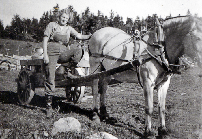 Slåsetra 1938